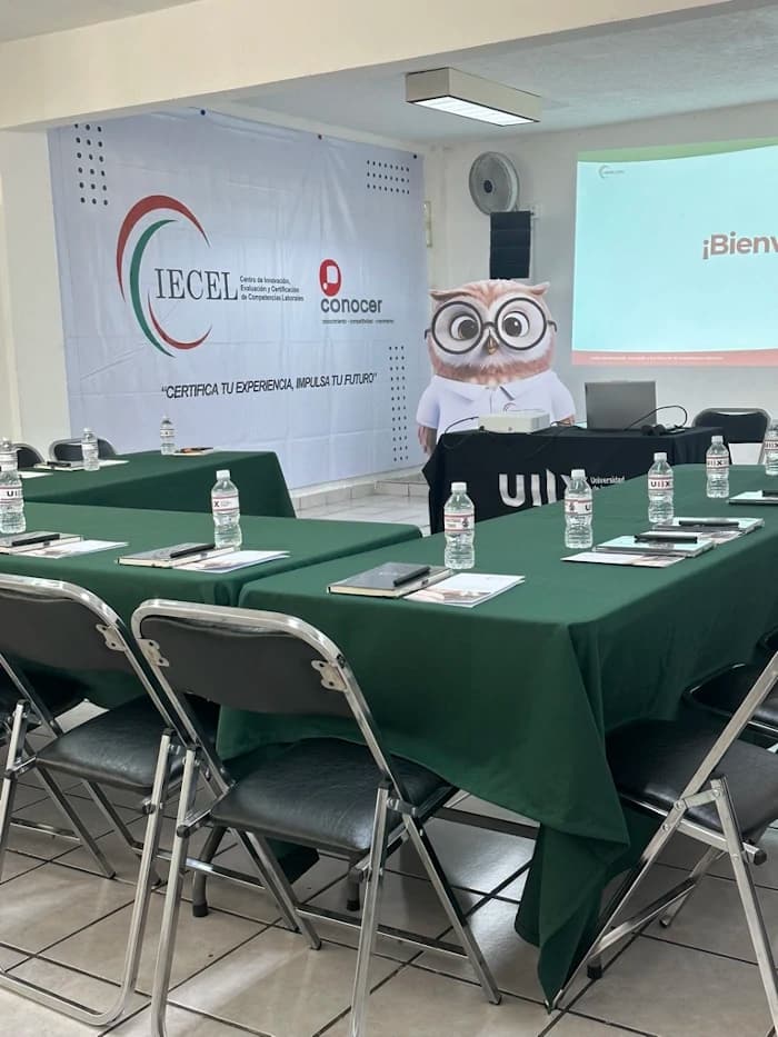 Equipo profesional en sesión de evaluación CIECEL